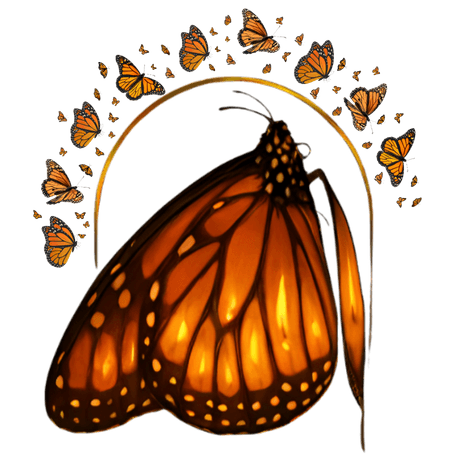 When Is Now Foundation monarch butterfly logo